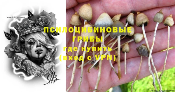 винт Алексин