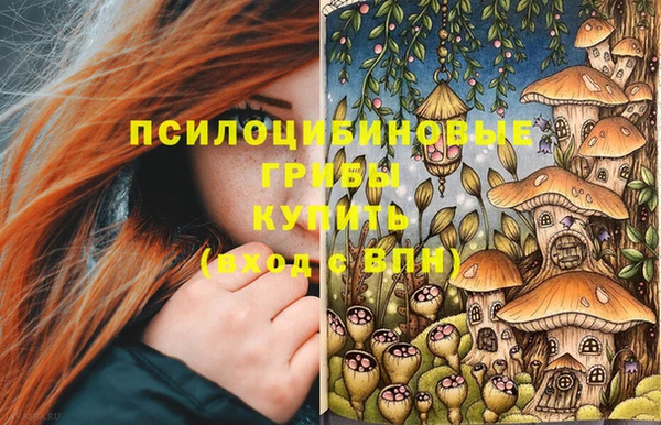 первитин Алексеевка