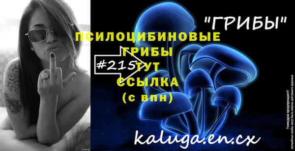 2c-b Алзамай